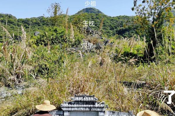 坟墓风水知识大全！