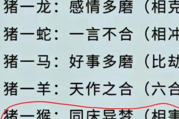 95猪男和98年虎女结婚吉日