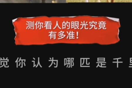 【神准测试】近三个月，有升职加薪的机会吗？