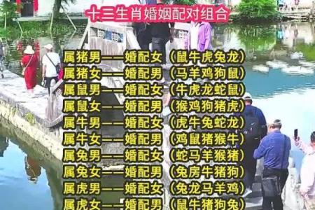 十二生肖配对歌看看你和TA的缘分有多好