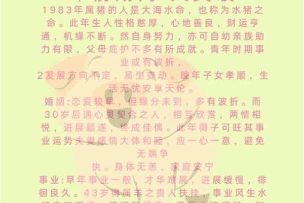 属猪的八字