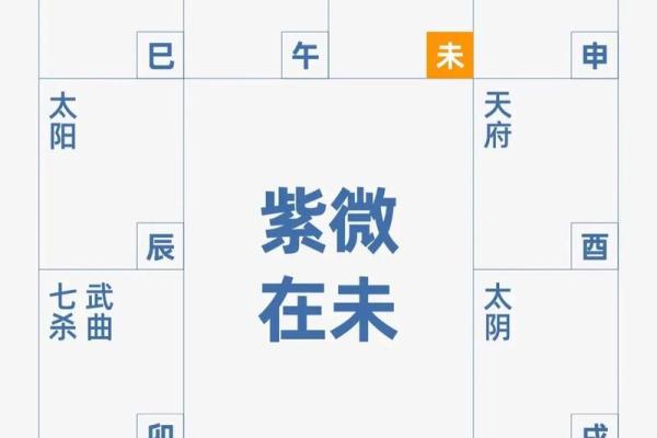 微信紫薇斗数