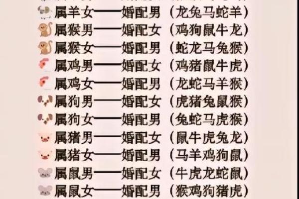 最准的12生肖配对表男龙女兔马 属相婚配男龙女兔