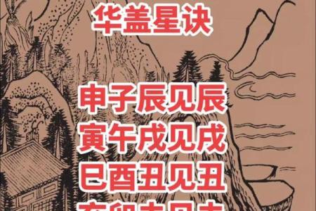 华盖星紫薇斗数