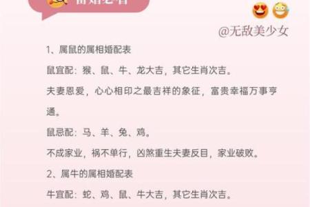 属龙的跟属龙的结婚属上等婚吗 配对要注意什么
