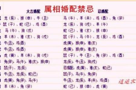 属猴的和属蛇的配对是否合适