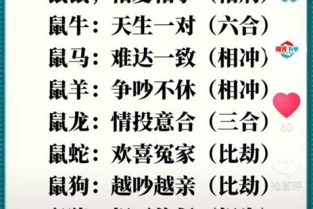 生肖兔和兔的配对是否适合