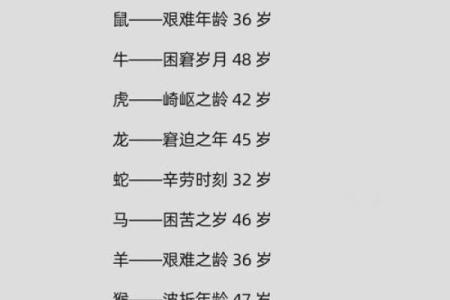 属鼠B血型的人性格与事业姻缘