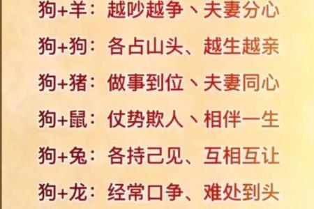 属狗的女人和什么属相最配对 属狗的女人和什么属相最配婚姻