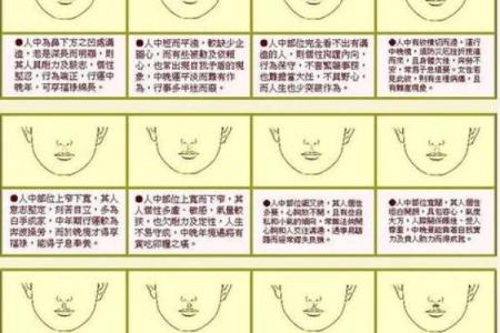 面相风水鼻头大的男人好不好是长寿命吗