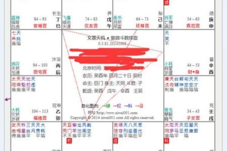 紫薇斗数测买车看哪宫