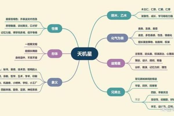 紫微斗数：天机星