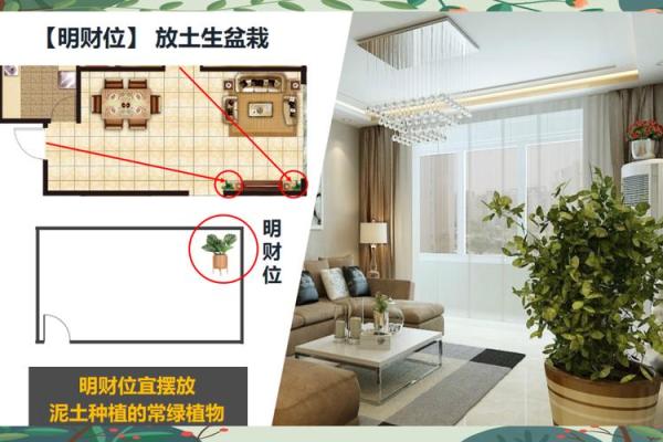 家居装修风水学