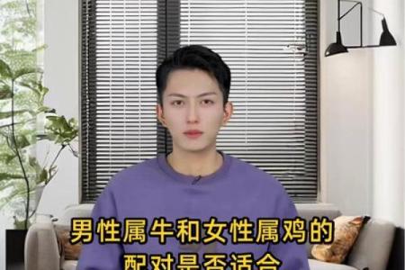 属牛和属牛的适合做夫妻吗 属牛夫妻配对可行吗
