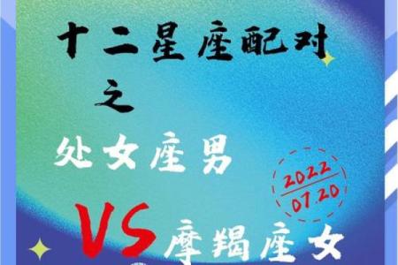 处女座和摩羯座配对指数