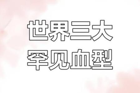 成功人士最多的血型