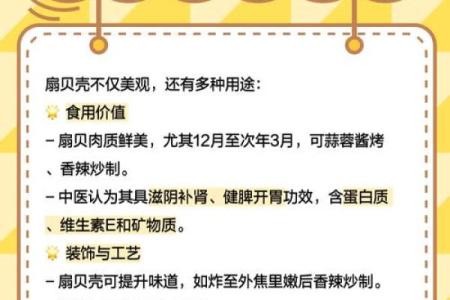 哪种贝壳风水作用