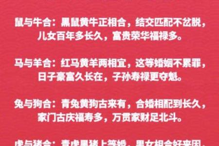 生肖和血型完美匹配你是哪种组合
