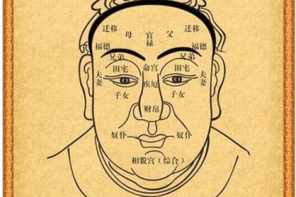 有关印堂面相算命图解