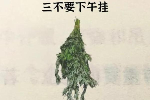 风水习俗端午挂艾草是单还是双解答