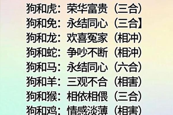 生肖配对查询男女