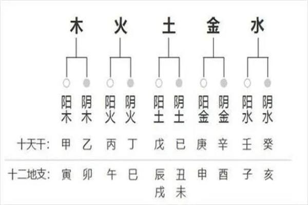 八字命理基础知识：四柱的各柱含义