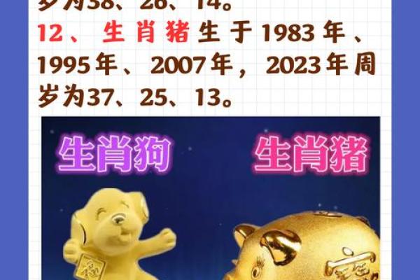 生肖查询：1998年属什么生肖配对
