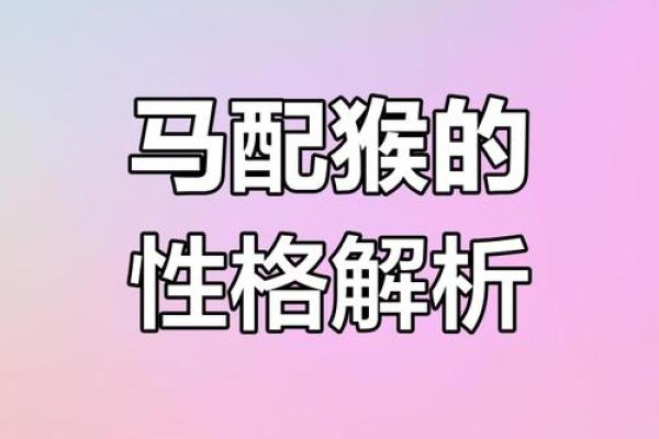 男猴女马生肖配对姻缘