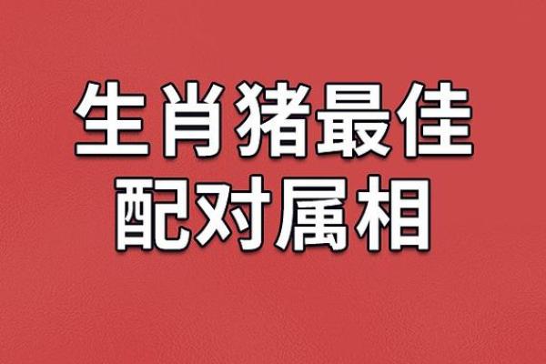 猪跟什么生肖配对最好 生肖猪最佳配对