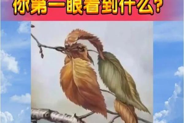 神准测试--下半年撞大运的机率有多高？