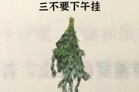 风水习俗端午挂艾草是单还是双解答