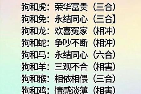生肖配对查询男女