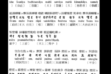 观音姻缘经 观世音菩萨姻缘咒语？