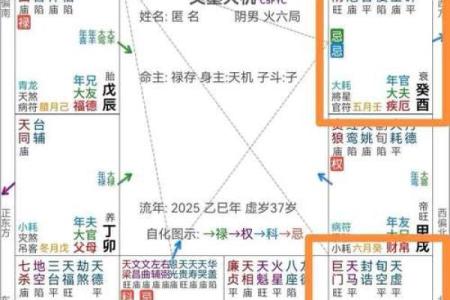 紫微斗数天机星的学习摘录分享