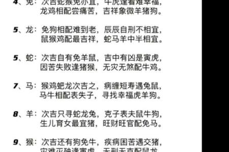 兔鼠生肖配对姻缘 兔与鼠的婚姻相配吗