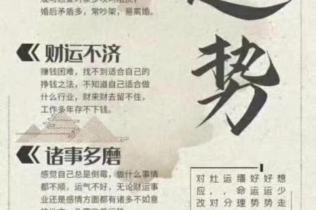 算命玄学剧集推荐