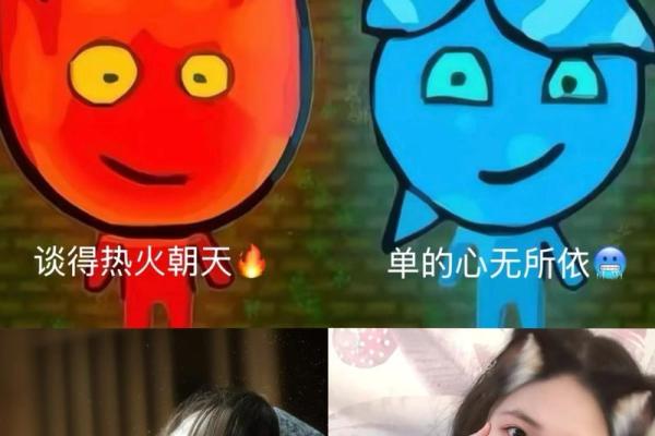狮子座偏土象星座吗