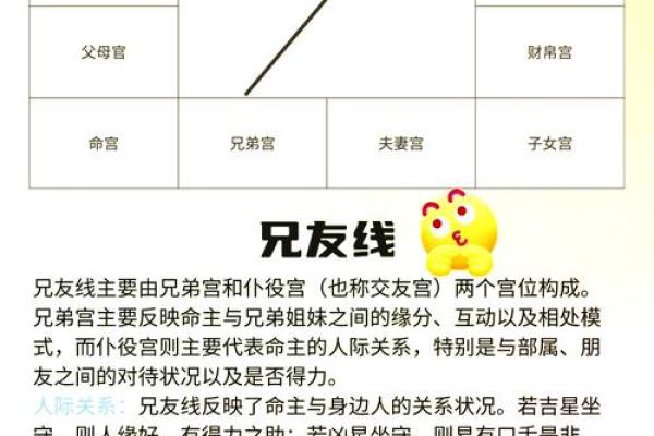 配偶本地外地紫薇斗数