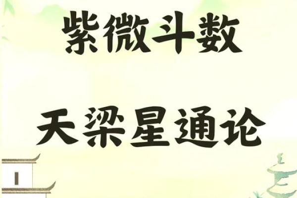 紫薇斗数小土