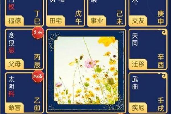 历史人物紫薇斗数