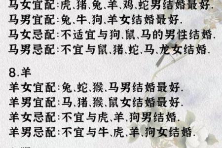 属相婚配表配对查询