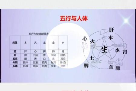 八字干支和命理关系大吗