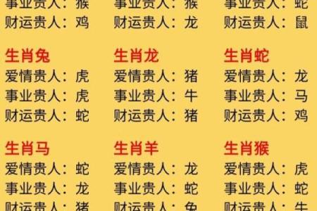 属相怎么写,怎么看自己的生辰八字