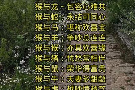 蛇男和猴女到底好不好 蛇男和猴女配对适不适合