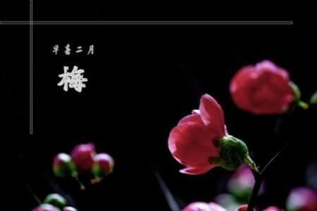 吕祖灵签第三十三签：古人梅花开二度