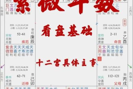 配偶本地外地紫薇斗数