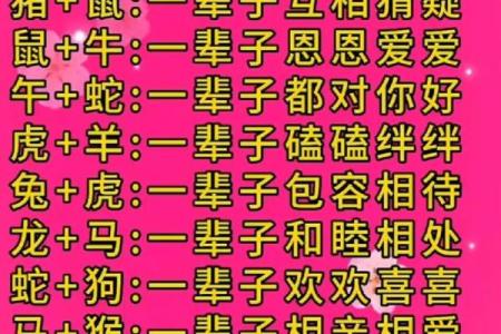 1994年属什么生肖年龄多少 1994年属什么生肖配对最好