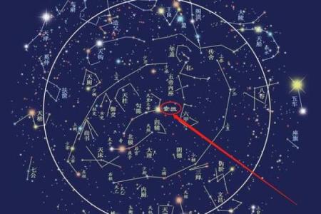 紫薇星七杀星入官禄宫