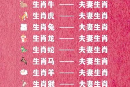 属相婚配十二生肖配对图表，属相婚配十二生肖配对图表图片？