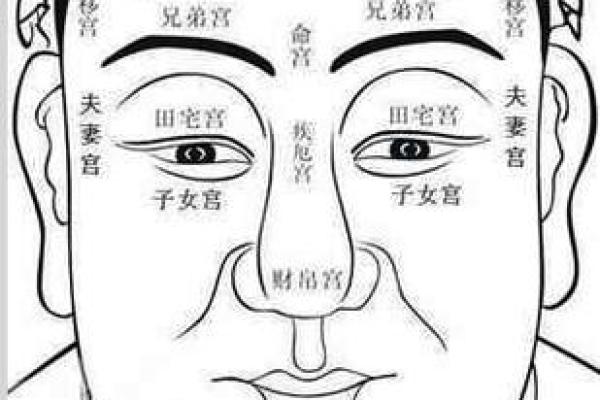 紫薇斗数中年后发财